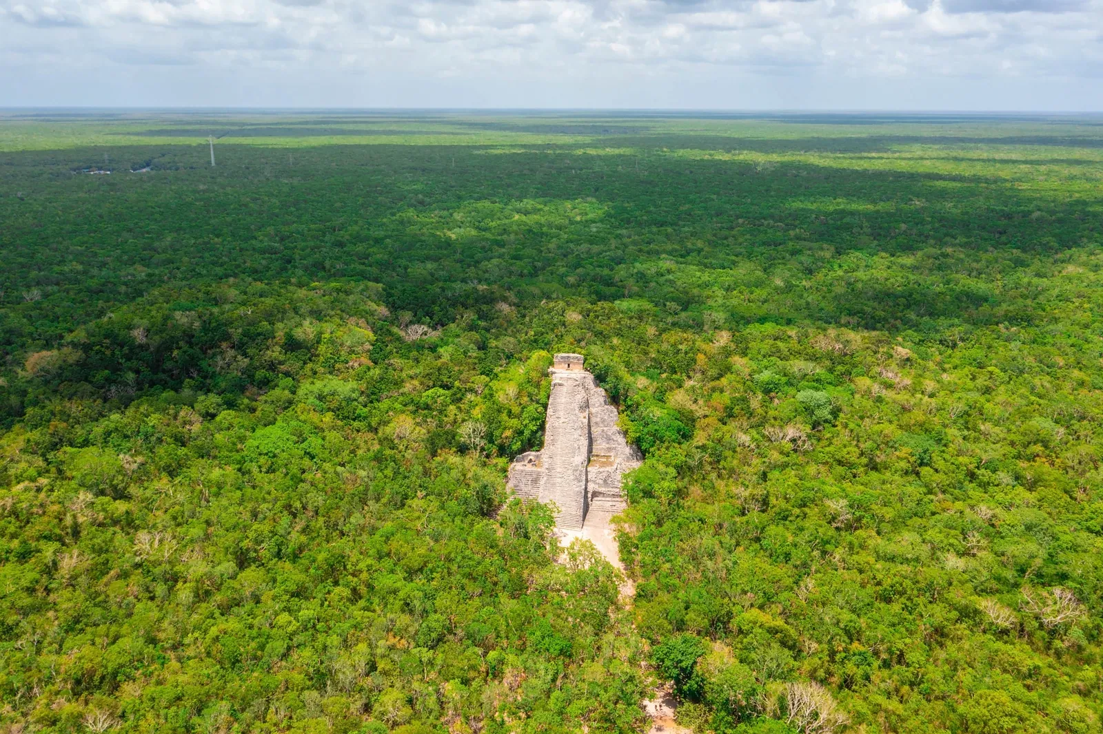 Paisaje de la selva maya